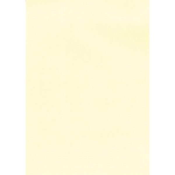 APLI PAPEL TEXTURA VERJURADO CREMA 220 GR. TAMAÑO A4 - 20 HOJAS -