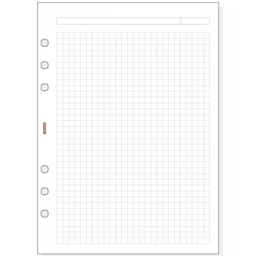 FINOCAM RECAMBIO AGENDA ANILLAS OPEN R1040 1000-155X215MM 50H CUADRÍCULA